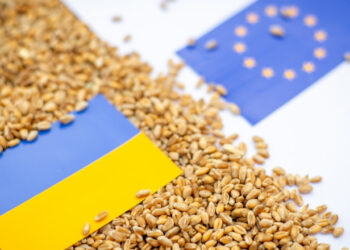Criza cerealelor ucrainene din 2022. Agricultura României, între 2020 – 2024 (episodul 4)