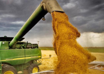 Agricultura României, între 2020 – 2024. Episodul 1: Tun de 7-8 milioane de euro în vremea Covidului