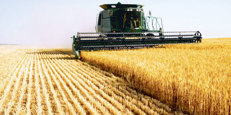 Cezar Gheorghe (AGRIColumn) susține că România nu este pe locul 1 la exportul de grâu în UE