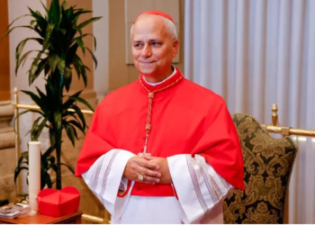Cine este cardinalul Robert Francis Prevost, ales Papa Leon XIV