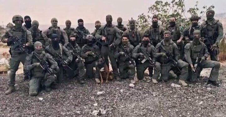 Cum controlează statele voluntariatul militar și mercenariatul? O comparație relevantă între Polonia, România și SUA | ANALIZĂ