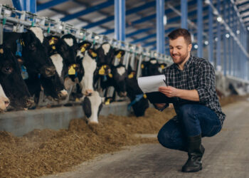 vârsta medie în agricultură a depășit deja 59 de ani în România. (sursă foto: PxHere)