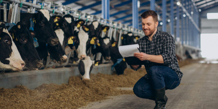 vârsta medie în agricultură a depășit deja 59 de ani în România. (sursă foto: PxHere)
