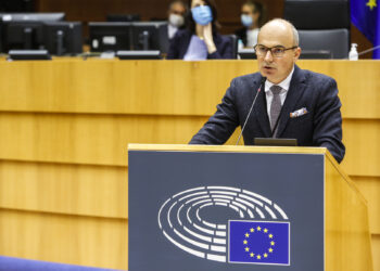 Vicepreședinte al Comisiei de Afaceri Externe a PE: „Incidentul nu este o întâmplare, o dronă rătăcită. Nu există așa ceva”